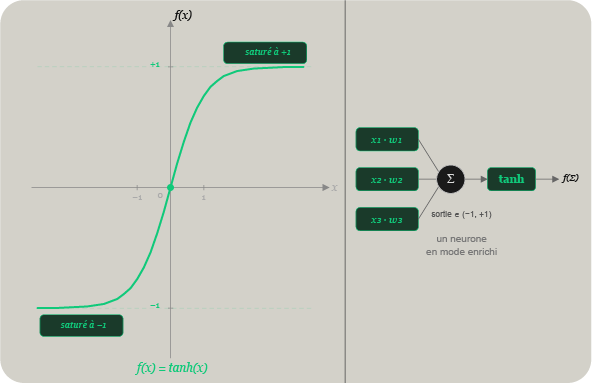 Fonction activation neurone tanh